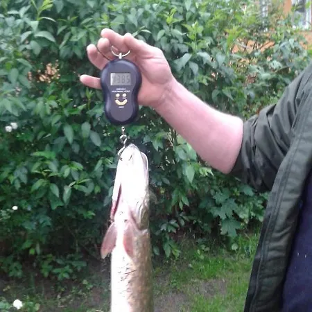 شقة Nad Jeziorem *