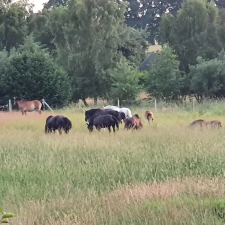 Nad Jeziorem * Klepnica