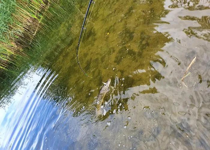 Nad Jeziorem Apartament