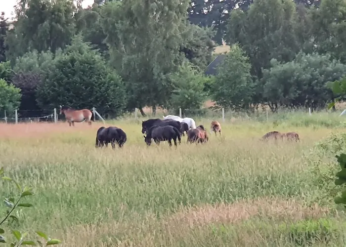 Nad Jeziorem * Klepnica